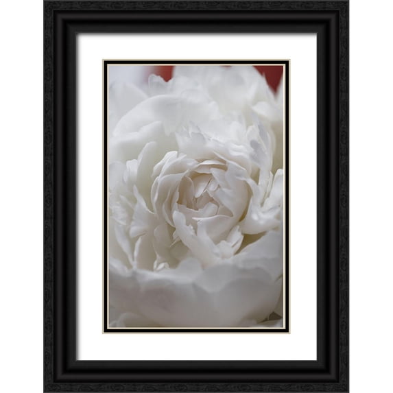 1x Studio III 13x18 Black Ornate Wood Framed with Double Matting Museum Art Print Titled - Peony_13