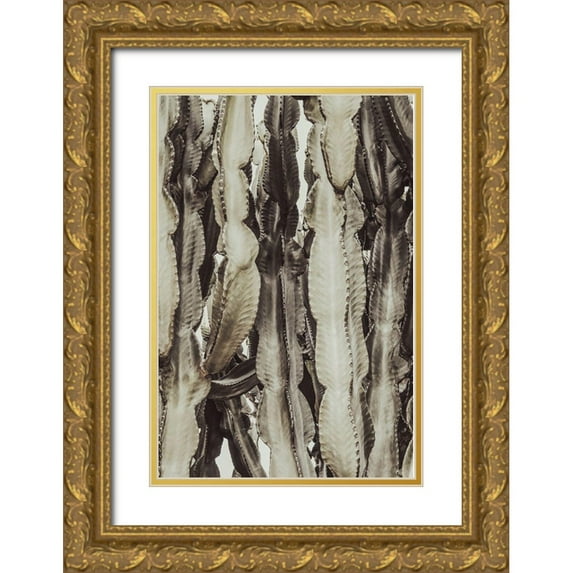 1x Studio III 13x18 Gold Ornate Wood Framed with Double Matting Museum Art Print Titled - Cactus_001