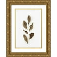 thumbnail image 1 of 1x Studio III 13x18 Gold Ornate Wood Framed with Double Matting Museum Art Print Titled - Dried Leaves_2, 1 of 4