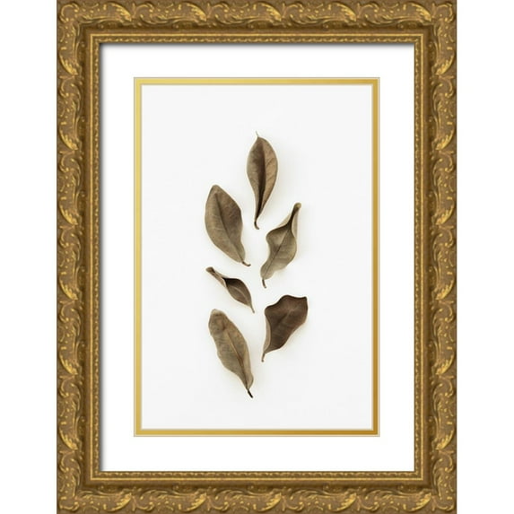 1x Studio III 13x18 Gold Ornate Wood Framed with Double Matting Museum Art Print Titled - Dried Leaves_2