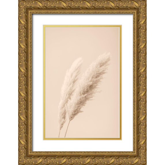 1x Studio III 13x18 Gold Ornate Wood Framed with Double Matting Museum Art Print Titled - Pampas Grass Begie 15