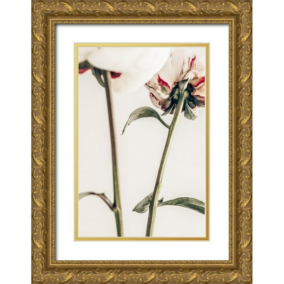 1x Studio III 13x18 Gold Ornate Wood Framed with Double Matting Museum Art Print Titled - Peony 01