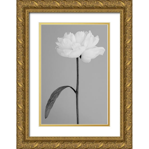 1x Studio III 13x18 Gold Ornate Wood Framed with Double Matting Museum Art Print Titled - Peony 14