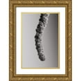 thumbnail image 1 of 1x Studio III 13x18 Gold Ornate Wood Framed with Double Matting Museum Art Print Titled - Seed Capsule Black and White, 1 of 4