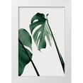thumbnail image 1 of 1x Studio III 13x18 White Modern Wood Framed Museum Art Print Titled - Monstera Natural 17, 1 of 4