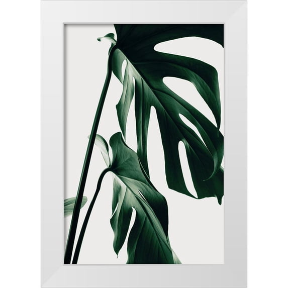 1x Studio III 13x18 White Modern Wood Framed Museum Art Print Titled - Monstera Natural 27