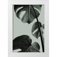 thumbnail image 1 of 1x Studio III 13x18 White Modern Wood Framed Museum Art Print Titled - Monstera Teal 03, 1 of 4