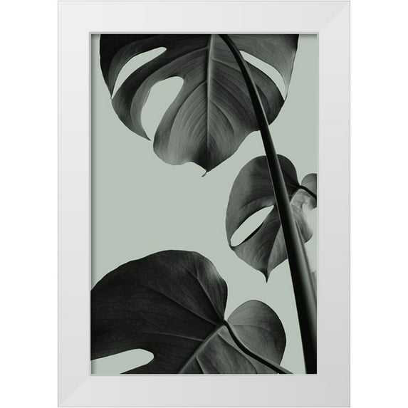 1x Studio III 13x18 White Modern Wood Framed Museum Art Print Titled - Monstera Teal 03