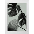 thumbnail image 1 of 1x Studio III 13x18 White Modern Wood Framed Museum Art Print Titled - Monstera Teal 07, 1 of 4