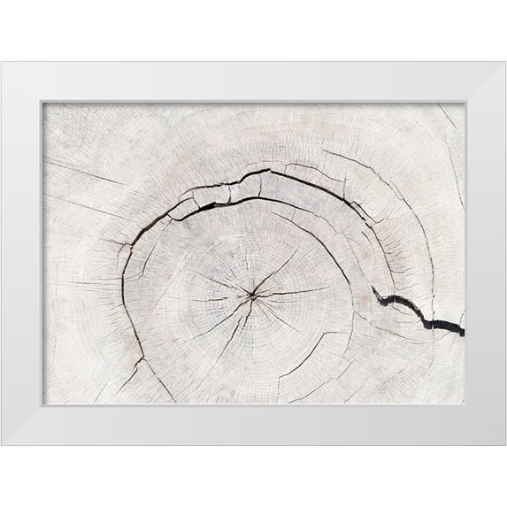 1x Studio III 14x11 White Modern Wood Framed Museum Art Print Titled - Texture 05