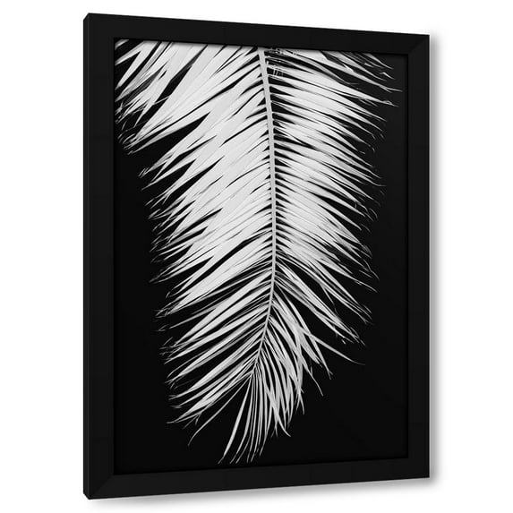 1x Studio III 17x24 Black Modern Wood Framed Wall Art Titled - Palmblad_004