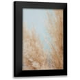 thumbnail image 1 of 1x Studio III 17x24 Black Modern Framed Museum Art Print Titled - Pampas Close 01, 1 of 5