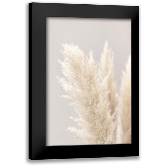 1x Studio III 17x24 Black Modern Framed Museum Art Print Titled - Pampas Grass Grey 03