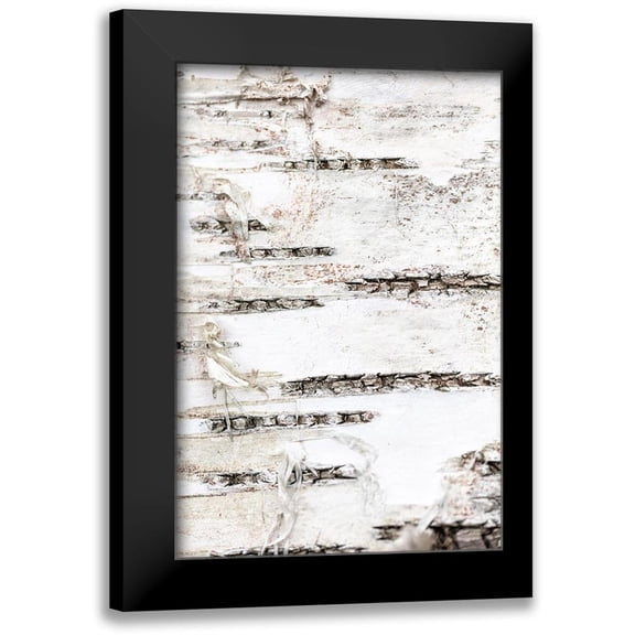 1x Studio III 17x24 Black Modern Framed Museum Art Print Titled - Tree bark_1