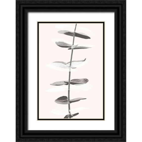 1x Studio III 17x24 Black Ornate Wood Framed with Double Matting Museum Art Print Titled - Eucalyptus Creative 11