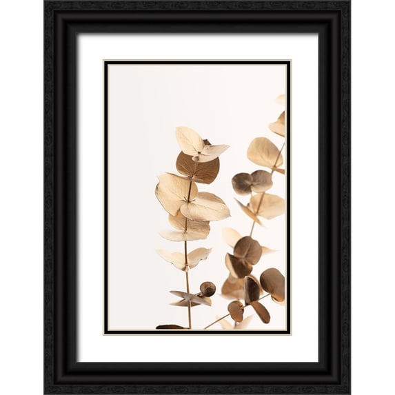 1x Studio III 17x24 Black Ornate Wood Framed with Double Matting Museum Art Print Titled - Eucalyptus Gold No 01