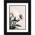 thumbnail image 1 of 1x Studio III 17x24 Black Ornate Wood Framed with Double Matting Museum Art Print Titled - Peony 23, 1 of 4