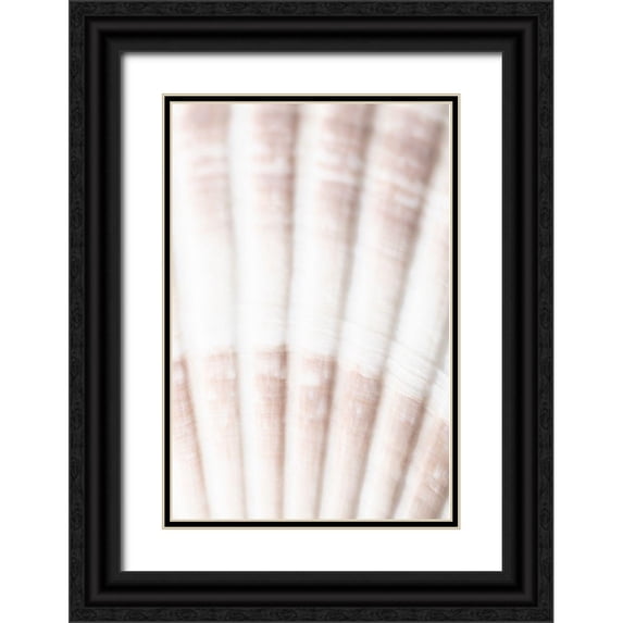 1x Studio III 17x24 Black Ornate Wood Framed with Double Matting Museum Art Print Titled - Shell_2