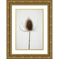 thumbnail image 1 of 1x Studio III 17x24 Gold Ornate Wood Framed with Double Matting Museum Art Print Titled - Dried_004, 1 of 4