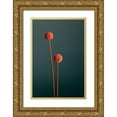 thumbnail image 1 of 1x Studio III 17x24 Gold Ornate Wood Framed with Double Matting Museum Art Print Titled - Orange Seed Capsules, 1 of 4