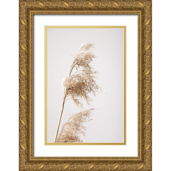 1x Studio III 17x24 Gold Ornate Wood Framed with Double Matting Museum Art Print Titled - Reed Grass Grey 03