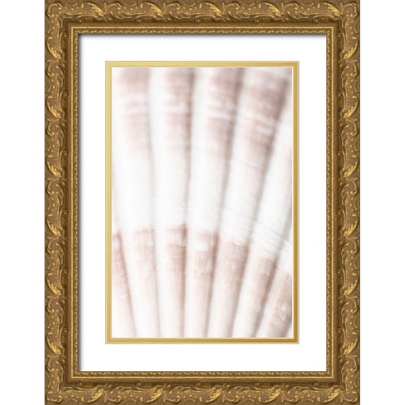 1x Studio III 17x24 Gold Ornate Wood Framed with Double Matting Museum Art Print Titled - Shell_2