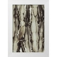 thumbnail image 1 of 1x Studio III 17x24 White Modern Wood Framed Museum Art Print Titled - Cactus_001, 1 of 4