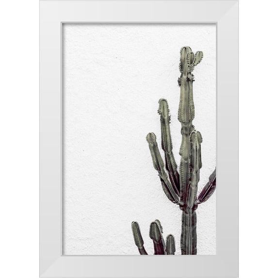 1x Studio III 17x24 White Modern Wood Framed Museum Art Print Titled - Cactus_003
