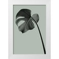 thumbnail image 1 of 1x Studio III 17x24 White Modern Wood Framed Museum Art Print Titled - Monstera Teal 02, 1 of 4