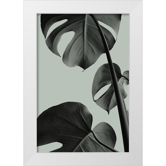 1x Studio III 17x24 White Modern Wood Framed Museum Art Print Titled - Monstera Teal 03