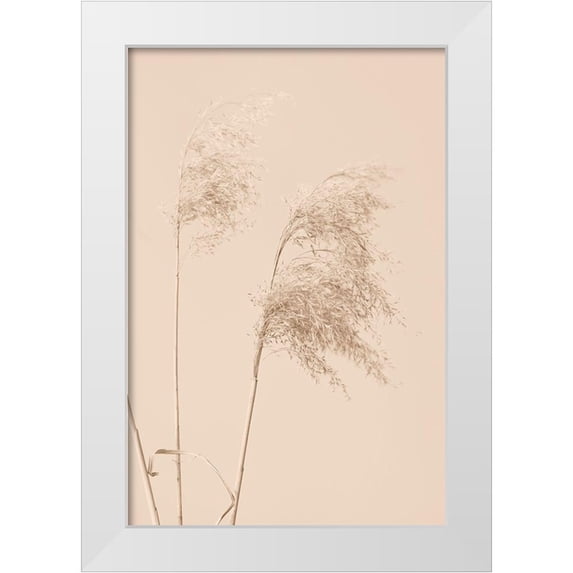 1x Studio III 17x24 White Modern Wood Framed Museum Art Print Titled - Reed Grass Begie 01