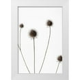 thumbnail image 1 of 1x Studio III 17x24 White Modern Wood Framed Museum Art Print Titled - Thistle Grey 10, 1 of 4