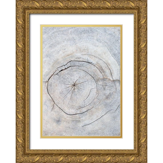 1x Studio III 18x24 Gold Ornate Wood Framed with Double Matting Museum Art Print Titled - Pattern_wood_2
