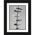 thumbnail image 1 of 1x Studio III 23x32 Black Ornate Wood Framed with Double Matting Museum Art Print Titled - Eucalyptus Black a White, 1 of 4