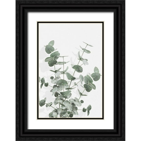 1x Studio III 23x32 Black Ornate Wood Framed with Double Matting Museum Art Print Titled - Eucalyptus Creative 16