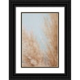 thumbnail image 1 of 1x Studio III 23x32 Black Ornate Wood Framed with Double Matting Museum Art Print Titled - Pampas Close 01, 1 of 4