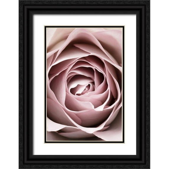 1x Studio III 23x32 Black Ornate Wood Framed with Double Matting Museum Art Print Titled - Pink Rose No 04