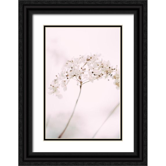 1x Studio III 23x32 Black Ornate Wood Framed with Double Matting Museum Art Print Titled - Soft dried flower_pink
