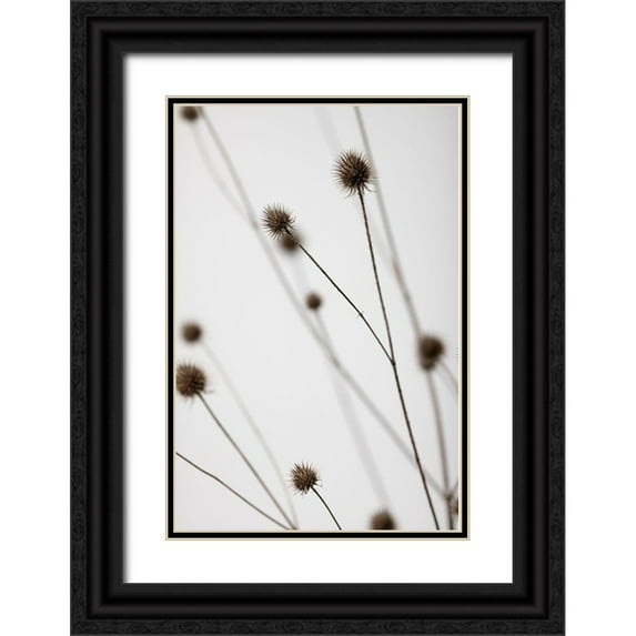 1x Studio III 23x32 Black Ornate Wood Framed with Double Matting Museum Art Print Titled - Thistle Grey 05