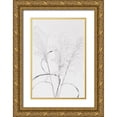 thumbnail image 1 of 1x Studio III 23x32 Gold Ornate Wood Framed with Double Matting Museum Art Print Titled - Dried Grass_blackawhite, 1 of 4