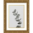 thumbnail image 1 of 1x Studio III 23x32 Gold Ornate Wood Framed with Double Matting Museum Art Print Titled - Eucalyptus Natural 06, 1 of 4