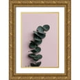 thumbnail image 1 of 1x Studio III 23x32 Gold Ornate Wood Framed with Double Matting Museum Art Print Titled - Eucalyptus Pink No 01, 1 of 4
