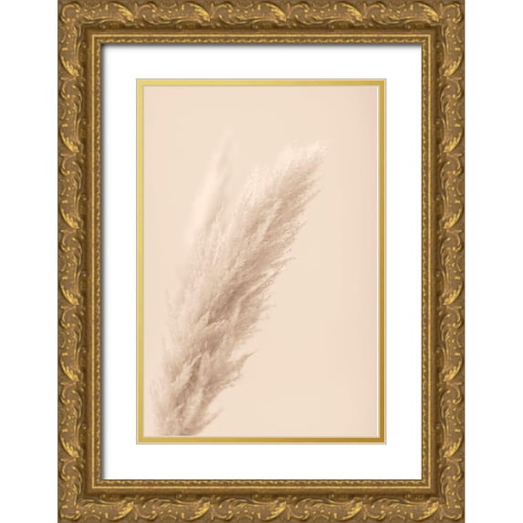 1x Studio III 23x32 Gold Ornate Wood Framed with Double Matting Museum Art Print Titled - Pampas Grass Beige 07