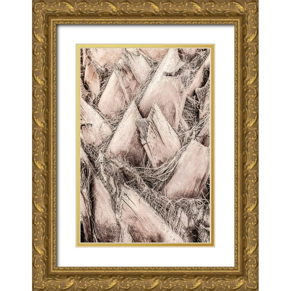 1x Studio III 23x32 Gold Ornate Wood Framed with Double Matting Museum Art Print Titled - Solaris 07