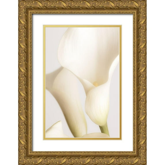 1x Studio III 23x32 Gold Ornate Wood Framed with Double Matting Museum Art Print Titled - White Calla Lily No 2