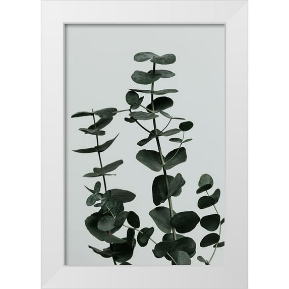 1x Studio III 23x32 White Modern Wood Framed Museum Art Print Titled - Eucalyptus Natural 11