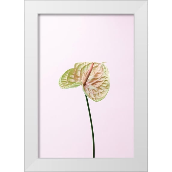 1x Studio III 23x32 White Modern Wood Framed Museum Art Print Titled - Flammingo Flower