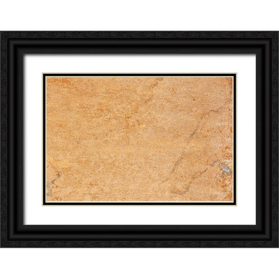 1x Studio III 24x17 Black Ornate Wood Framed with Double Matting Museum Art Print Titled - Texture 02