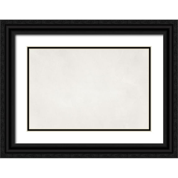 1x Studio III 24x17 Black Ornate Wood Framed with Double Matting Museum Art Print Titled - Texture 29
