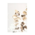 thumbnail image 1 of 1x Studio III 'Eucalyptus Creative Gold 01' Canvas Art, 1 of 4
